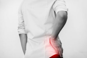 anterior vs posterior