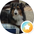 Karen R. Avatar